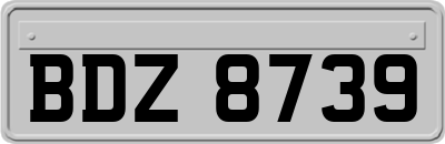 BDZ8739