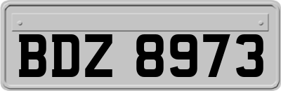 BDZ8973