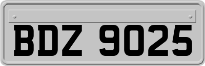 BDZ9025