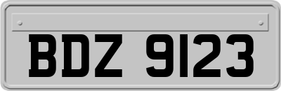 BDZ9123