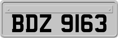 BDZ9163