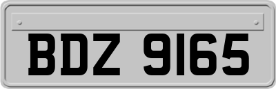 BDZ9165