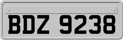BDZ9238