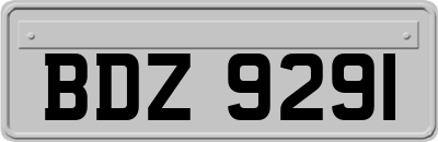BDZ9291
