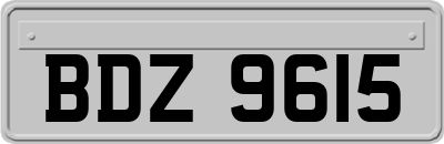 BDZ9615
