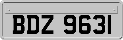 BDZ9631