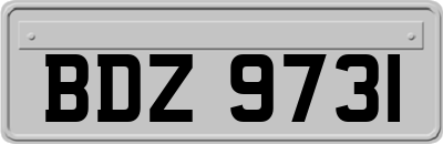 BDZ9731