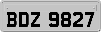 BDZ9827