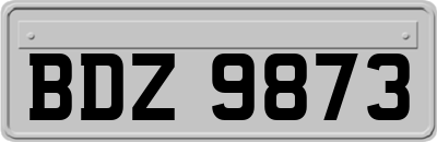 BDZ9873
