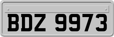 BDZ9973