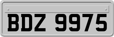 BDZ9975