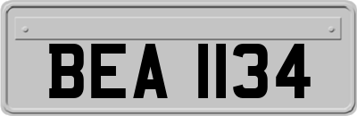 BEA1134