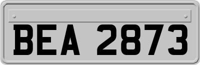 BEA2873