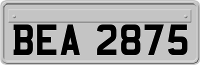 BEA2875