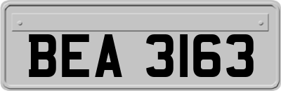 BEA3163