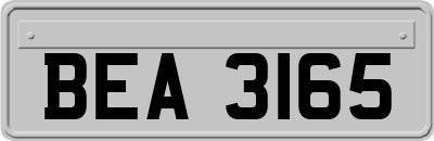 BEA3165