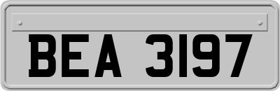 BEA3197