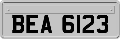 BEA6123