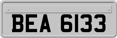 BEA6133