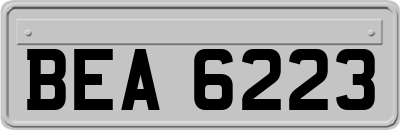 BEA6223