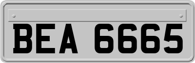 BEA6665