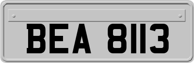 BEA8113