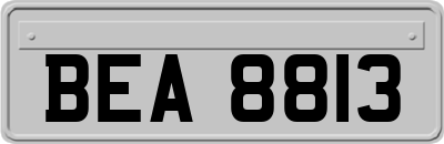 BEA8813