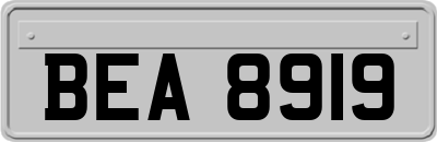 BEA8919