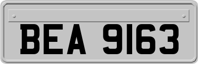 BEA9163