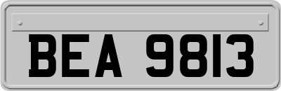 BEA9813