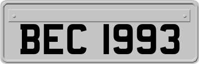 BEC1993