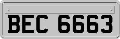 BEC6663