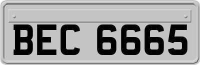 BEC6665