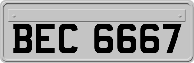 BEC6667