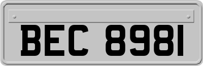BEC8981