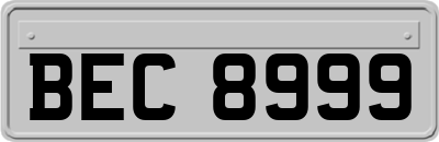 BEC8999