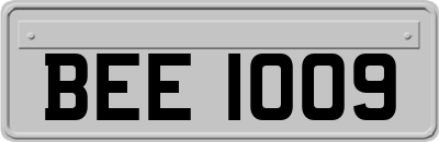 BEE1009
