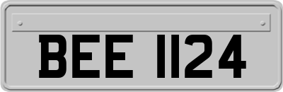 BEE1124