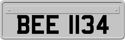 BEE1134