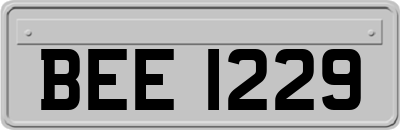 BEE1229