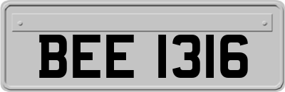 BEE1316