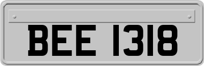 BEE1318