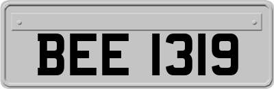 BEE1319