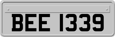 BEE1339