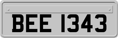 BEE1343