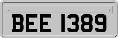 BEE1389