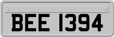 BEE1394