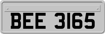 BEE3165
