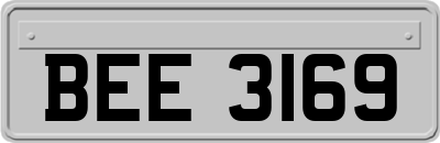 BEE3169