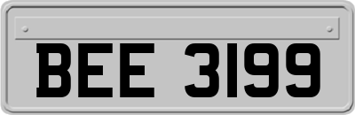 BEE3199